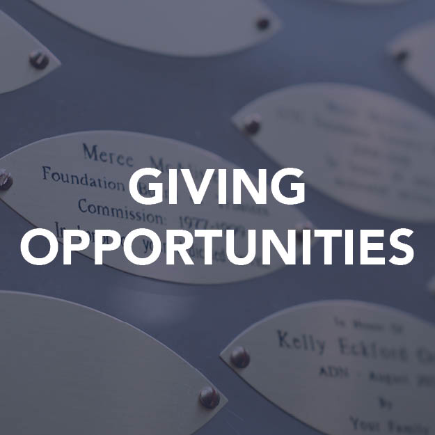 Giving Opportunities